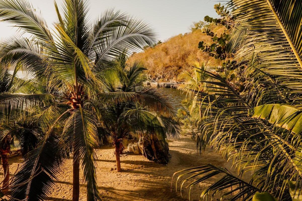 Dream Villa With Private Beach And Catering Zihuatanejo Exteriör bild