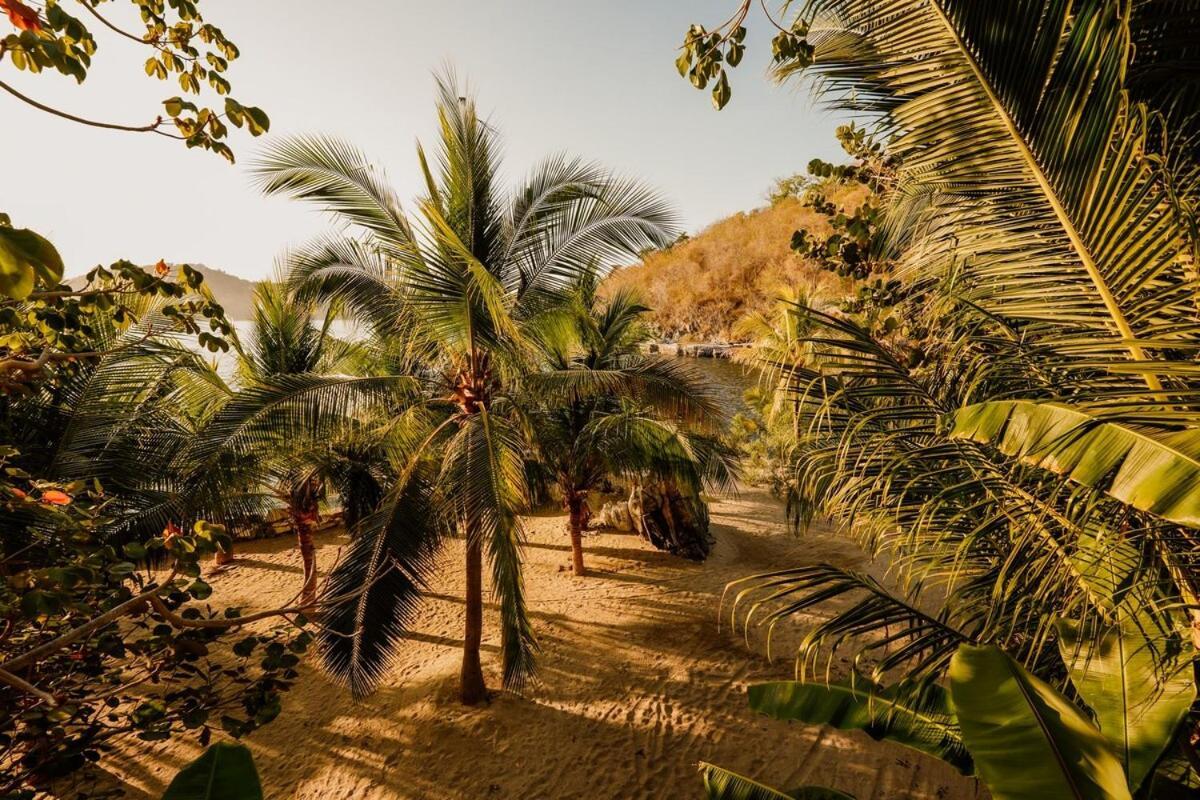 Dream Villa With Private Beach And Catering Zihuatanejo Exteriör bild